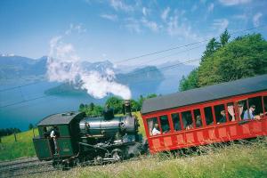 菲茨瑙Cozy House above Lake Lucerne in car-free Vitznau Mittlerschwanden at Mount Rigi railway的和一群人一起在赛道上搭载蒸汽机火车