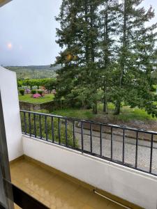 塞洛里库达贝拉米拉塞拉酒店的享有公园景致的阳台