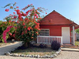 巴卡拉尔Bacalar Sunshine的红色的建筑,有红花树