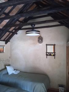 查兹拉德拉谢拉La Casita的一间卧室配有一张床,天花板光线充足