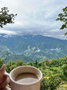 Inasharidzeebicottage panorama merisi的一杯咖啡,享有山景