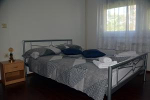 斯马尔诺Hiša v Travniku的一间卧室配有一张带蓝色枕头的床和一扇窗户。