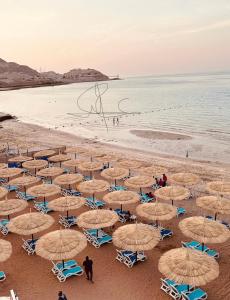 艾因苏赫纳Porto Sokhna Water Front Resort的海滩上的一把遮阳伞和椅子