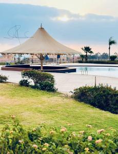 艾因苏赫纳Porto Sokhna Water Front Resort的游泳池旁的大太阳伞