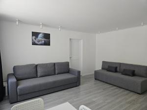 陶格夫匹尔斯Central Space的客厅设有两张沙发和白色墙壁
