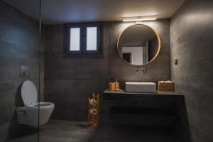 卡利诺岛Apollonas & Sibylla Villa的一间带卫生间、水槽和镜子的浴室
