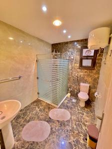 塞得港شاليه فندقى داخل فندق هلنان بورفؤاد helnan port fouad的带淋浴、卫生间和盥洗盆的浴室