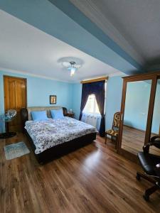 SamtrediaBlue Guest House的一间卧室配有一张蓝色墙壁和木地板。