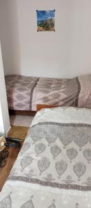 普卢日内Jelena的一间客房内配有两张床的房间