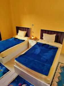 开罗Energy Of Pyramid Hotel的一间卧室配有两张蓝色床单
