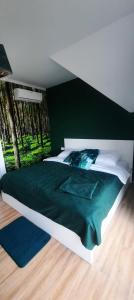 斯蒂格纳Bałtyckie Klimaty的一间卧室设有一张大床和绿色的墙壁