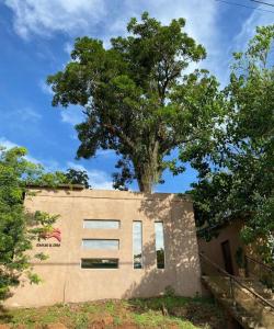 伊瓜苏港Posada El Ceibo的上面有树的建筑