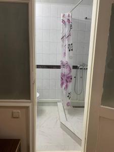 撒马尔罕帖木儿可汗酒店的带淋浴和卫生间的浴室