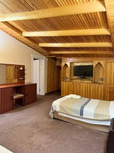撒马尔罕阿尔巴酒店的一间卧室配有一张床,并在一间客房内配有电视。