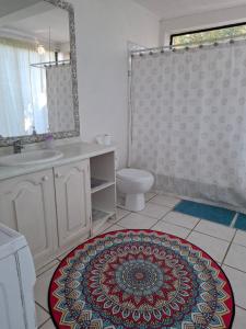 奇廉Alojamiento Céntrico 24 hrs. con estacionamiento的一间带水槽、卫生间和地毯的浴室