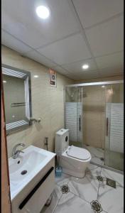 瓦迪拉姆RUM EiLEEN LUXURY CAMP的浴室配有卫生间、盥洗盆和淋浴。