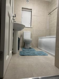 利默里克Room in Limerick的浴室配有盥洗盆、卫生间和浴缸。