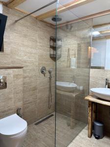 乌尔齐尼Meris的带淋浴、卫生间和盥洗盆的浴室