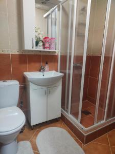 Apartman Harmonija Vrnjačka Banja的一间浴室