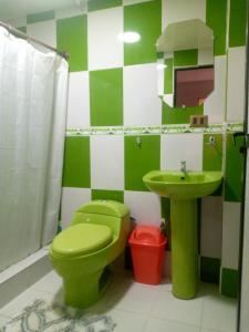 乌尤尼salt beds of salt hostal的浴室配有绿色卫生间和水槽。