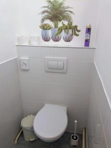 兹诺伊莫Pension Archa的浴室设有卫生间,架子上种植了两株植物