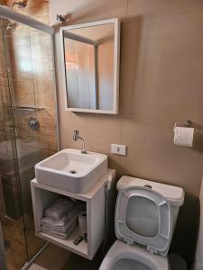 圣保罗贝拉奥古斯塔酒店 的一间带水槽、卫生间和镜子的浴室