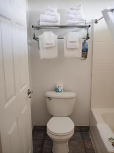 布鲁金斯野河汽车旅馆的浴室配有白色卫生间和毛巾。