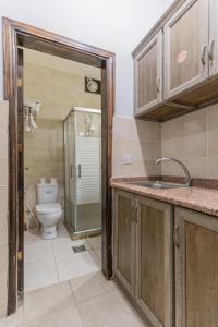 亚喀巴old town apartment的一间带卫生间和水槽的浴室