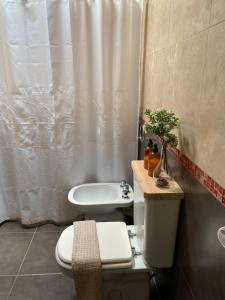圣罗莎Complejo Pampa 2的一间带卫生间和淋浴帘的浴室