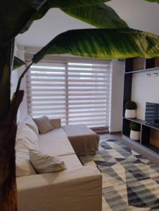 洛斯安赫莱斯Nuevo y Maravilloso Dpto. 44m2的带沙发和棕榈树的客厅