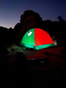 瓦迪拉姆Wadi Rum Sights Camp的阴暗的绿色和红色伞