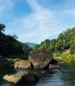 基图尔格勒kithulgala Green Rafting Hotel的河中大块岩石