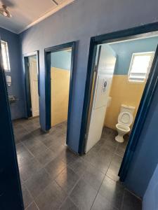 艾尔Ayr Budget Accommodation的一间带卫生间和蓝色墙壁的浴室