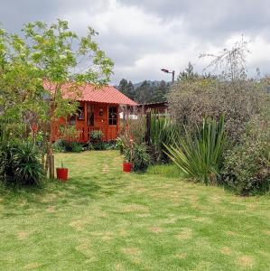 瓜斯卡Cabaña Los Linos的前面有植物的院子