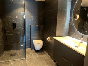 斯沃尔韦尔Lofoten Suiteapartments的带淋浴、卫生间和盥洗盆的浴室