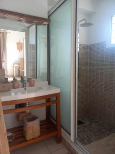 La RivièreVilla mimosa的一间带水槽和淋浴的浴室