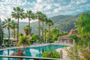 达利安达利安度假酒店 - 特殊类别的棕榈树度假村的游泳池景