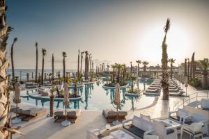 赫索尼索斯Europa Beach Hotel & Spa的一个带棕榈树和椅子的游泳池的度假酒店