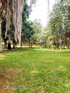 布兰太尔Ruby's Guesthouse Chigumula的公园里绿草如茵,树木繁茂