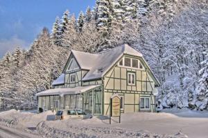 布里隆Deluxe Holiday Home in Brilon Wald near Ski Area的雪中停放汽车的房子