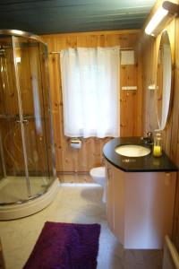 RaulandRauland Hytteutleige的带淋浴、盥洗盆和卫生间的浴室