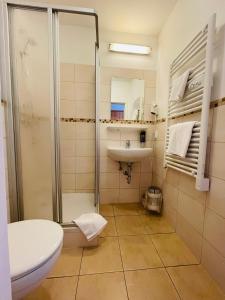 茨维考Gaststätte Brauhaus Zwickau GmbH的带淋浴、盥洗盆和卫生间的浴室
