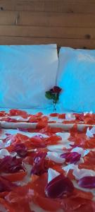吉诺卡斯特Guest House Salaria的一张红色和白色的床上