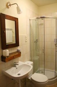 吉日茨科老磨坊宾馆的浴室配有卫生间、盥洗盆和淋浴。