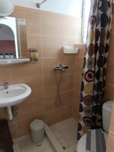 索瓦拉GOLDEN BEACH的一间带水槽、卫生间和淋浴的浴室
