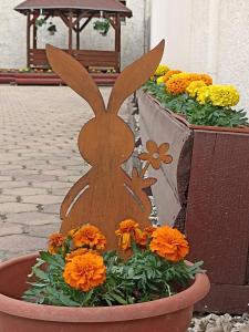 德布勒森欧罗盘兹奥酒店的花盆里木兔子的种植者
