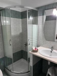 阿林达Alinda Hotel的带淋浴和盥洗盆的浴室