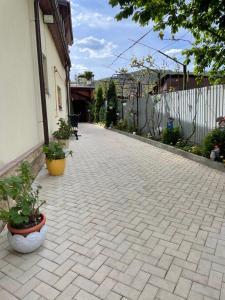 特尔古奥克纳Pensiunea Mihaita的砖砌的庭院,种植了盆栽植物,建筑