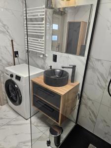 波兹南Apartament Malta的一间带水槽和洗衣机的浴室