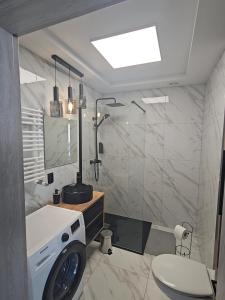 波兹南Apartament Malta的带淋浴、盥洗盆和卫生间的浴室